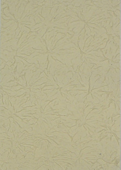 Ruční papír PM63/C01 – 50x75cm
