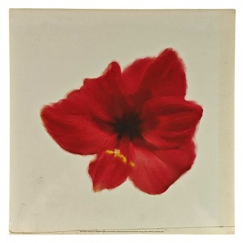 Obraz reprodukce 30x30cm – Petales Rouges I