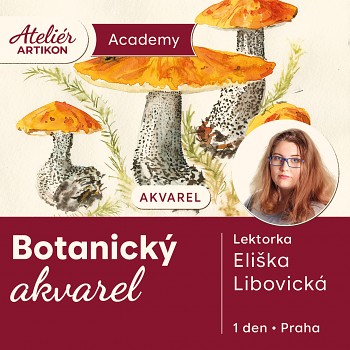 Botanický akvarel (28.11.)